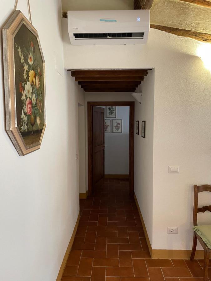 Ama- La Casina