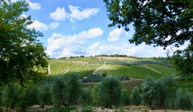 Ama- La Casina Holiday home Gaiole in Chianti